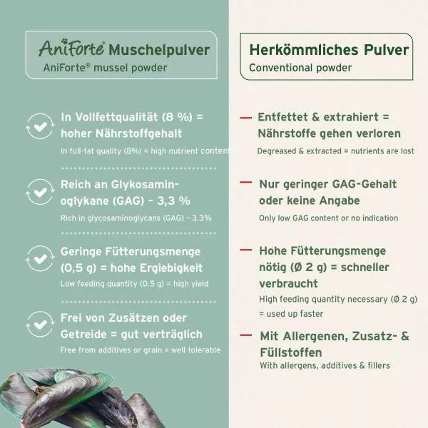 Grünlippmuschelpulver Grünlippmuschelpulver